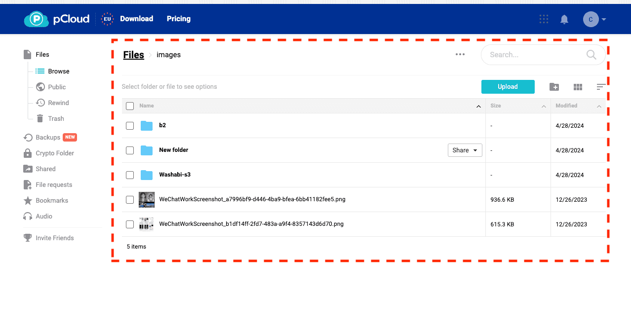 Verify files in pCloud